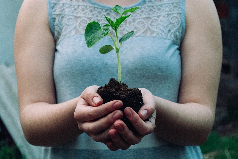 Woman holding a plant